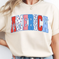 America 250 - Comfort Colors Short Sleeve