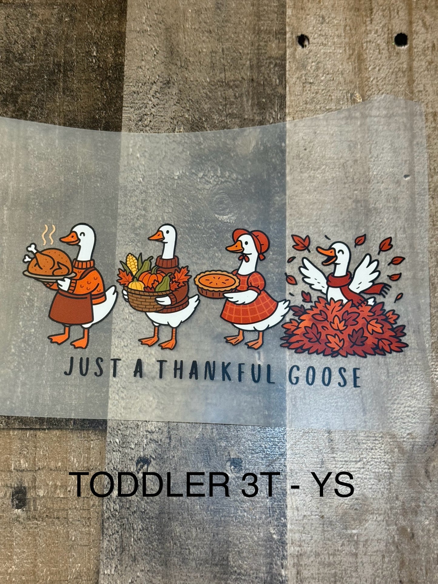 Thankful Goose 3T-YS